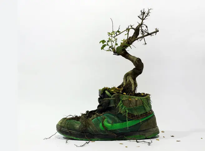 NIKE.png